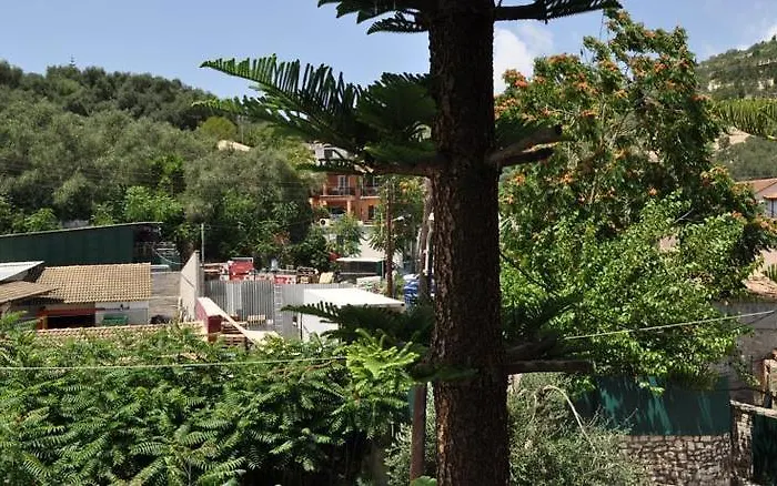 Olympia Paxos