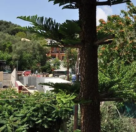 Olympia Paxos
